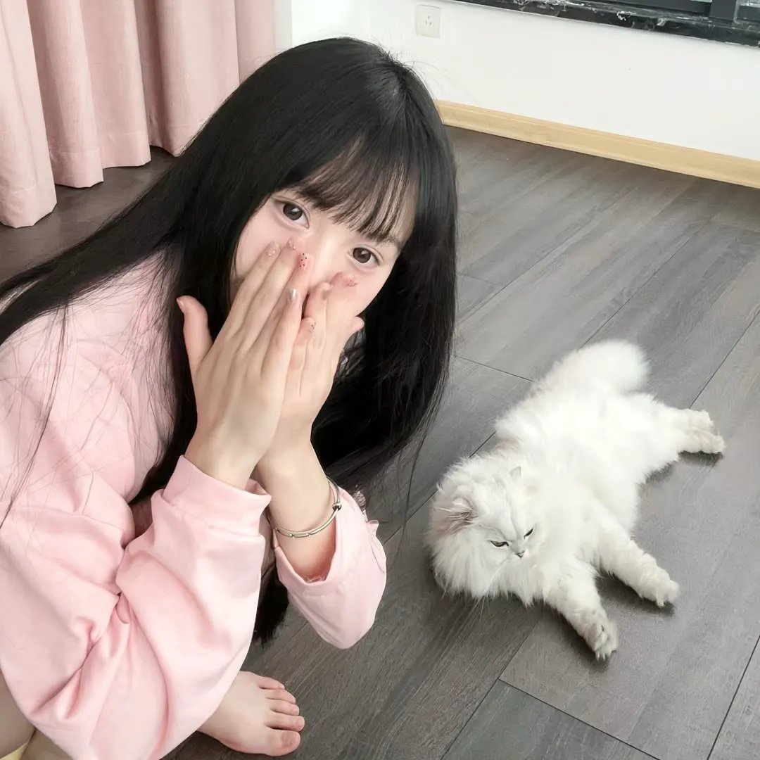 会不会